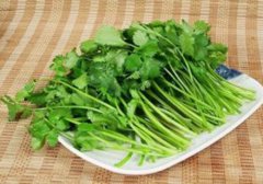 吃香菜对男人有什么不好,香菜有杀精作用吗,香菜对男人有什么坏处