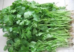 香菜煮水祛斑的方法,香菜水祛斑方法,香菜水怎么祛斑