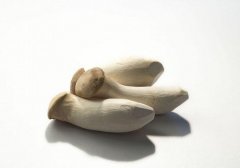 杏鲍菇和胡萝卜能一起吃吗,杏鲍菇和胡萝卜能一起炒吗