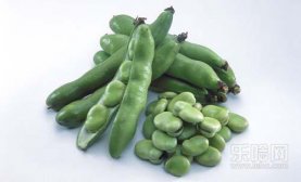 蚕豆吃多了会怎么样,蚕豆吃多了有什么坏处,蚕豆吃多了好吗