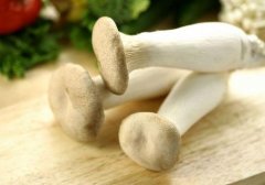 杏鲍菇的头能吃吗,杏鲍菇头可以吃吗