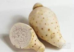 豇豆不能和什么一起吃,豇豆与什么食物相克