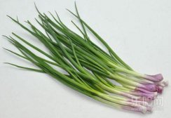 苦菊不能和什么一起吃,苦菊不能和什么同吃,苦菊跟什么相克