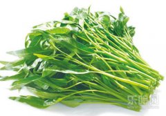 空心菜是凉性的吗,空心菜属于凉性吗,空心菜是热性还是凉性