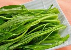 吃空心菜会回奶吗,空心菜会回奶吗,空心菜会不会回奶