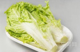 经期能吃生菜吗,生菜经期可以吃吗