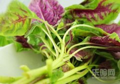 苋菜来月经能吃吗,苋菜月经期可以吃吗,月经期能吃苋菜吗