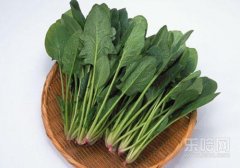 菠菜是酸性还是碱性,菠菜是酸性的吗,菠菜事碱性食物吗