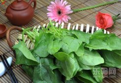 孕妇吃菠菜对胎儿有什么影响,孕妇吃菠菜对胎儿好吗,孕妇吃菠菜好