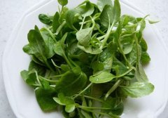 油菜苗能吃吗,油菜苗可以吃吗,油菜苗能不能吃