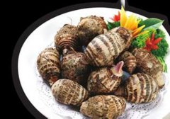 芋头什么时候收获,芋头什么季节有,吃芋头的季节