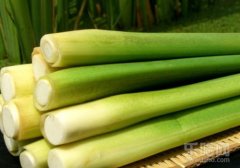 茭白的营养价值,茭白的营养价值及功效,茭白的营养成分