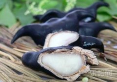 菱角的营养价值及禁忌,菱角的营养成分,菱角的营养价值及功效