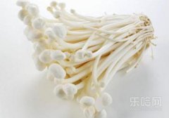 金针菇消化不了吗,金针菇为什么不消化