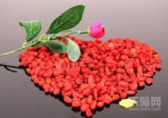 枸杞熬粥有啥功效,枸杞熬粥功效是什么