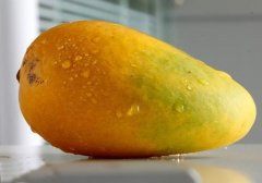 芒果皮上有黑点能吃吗,芒果皮上有黑斑能吃吗,芒果皮有黑点能吃吗