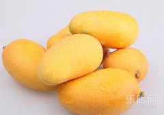 芒果是热性还是凉性,芒果是凉性还是热性性,芒果性温还是性凉