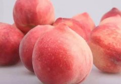 桃子是热性还是凉性,桃子性寒还是性热,桃子是寒性的吗