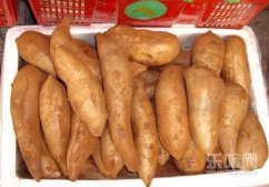 雪莲果什么时候吃最好,雪莲果什么时候吃好,晚上吃雪莲果好吗