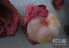 山竹里面有黄能吃吗,山竹发黄了还能吃,山竹里面的黄能吃吗