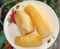 雪莲果的功效与作用及食用方法,雪莲果的功效与作用及禁忌