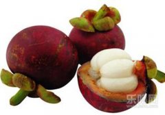 山竹不能和什么一起吃,山竹不能与什么同食,山竹不能和什么同食