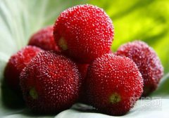 杨梅儿童可以吃吗,杨梅儿童能吃吗,孩子能吃杨梅吗