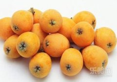 吃枇杷会上火吗,枇杷吃了会上火吗,枇杷吃多了会上火吗