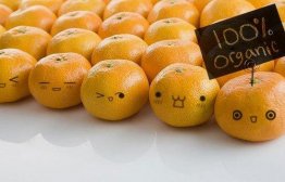 橘子糖尿病人可以吃吗,糖尿病能吃橘子吗,糖尿病人吃橘子可以吗