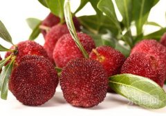 杨梅弄衣服上怎么洗,杨梅汁怎么洗干净,杨梅弄到白衣服怎么洗