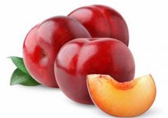 杏子和李子的区别,杏子是李子吗,杏子与李子的区别