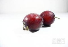 西梅是热性还是凉性,西梅是寒性的吗,西梅凉性还是热性