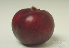 黑布林是凉性水果吗,黑布林是热性还是凉性,黑布林会上火吗