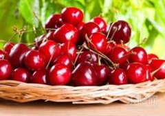 经期能吃车厘子吗,月经期可以吃车厘子吗,车厘子月经期可以吃吗