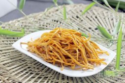 虫草花的功效与作用及禁忌,虫草花的功效与作用及禁忌症,虫草花的