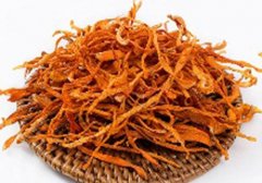 虫草花是凉性还是热性,虫草花是凉性的吗,虫草花性味归经