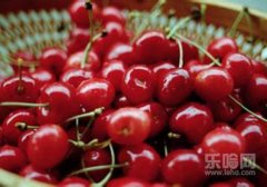 车厘子发苦是什么原因,车厘子苦怎么回事,车厘子苦是什么原因