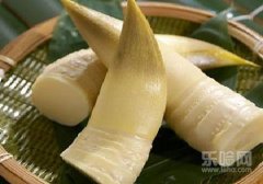 冬笋和春笋有什么区别,春笋和冬笋的区别