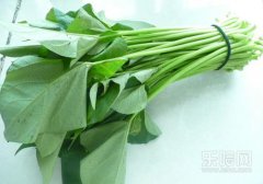 凉拌红薯叶的做法, 凉拌红薯叶怎么做