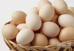 木薯不能和什么一起吃,木薯不可以与什么一起吃,木薯不能与什么同