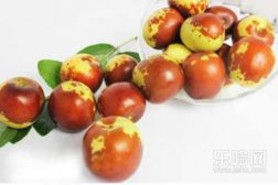 过度疲劳吃什么好,过度劳累吃什么好