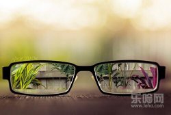 眼睛最爱七大营养