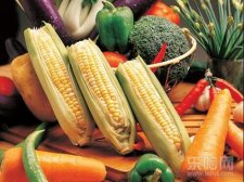 如何预防溢脂性脱发,预防溢脂性脱发的方法,脂溢性脱发怎么预防