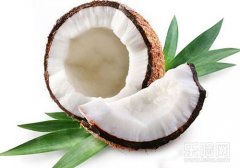 椰子是凉性还是热性,椰子是热性还是凉性,椰子是凉性的吗