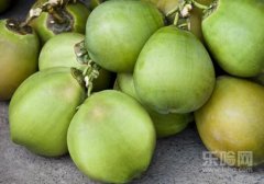 椰子鸡汤的做法,椰子鸡汤怎么做