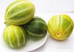 香瓜是寒性还是热性,香瓜是热性还是凉性,香瓜是凉性水果吗