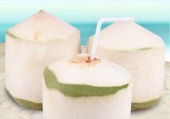 椰子和椰青的区别,椰青和椰子的区别,椰子和椰皇的区别