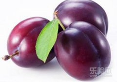 吃李子有什么好处和坏处,李子吃了有什么好处,吃李子有什么坏处