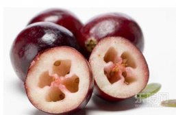 蔓越莓能治疗妇科病吗,蔓越莓可以治疗妇科病,蔓越莓对妇科有效果