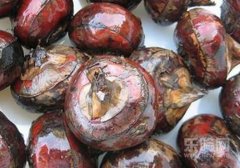 荸荠是凉性的吗,马蹄是热的还是凉的,马蹄属于凉性吗